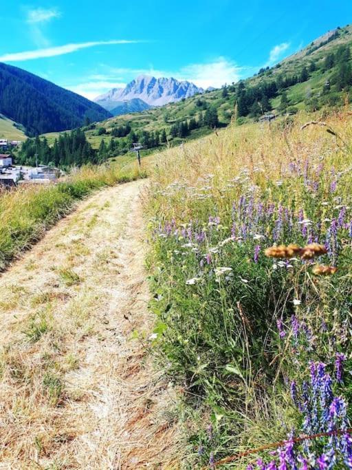 瓦尔T2/3 6Pers & Pied Des Pistes & Piscine Chauffee公寓 外观 照片